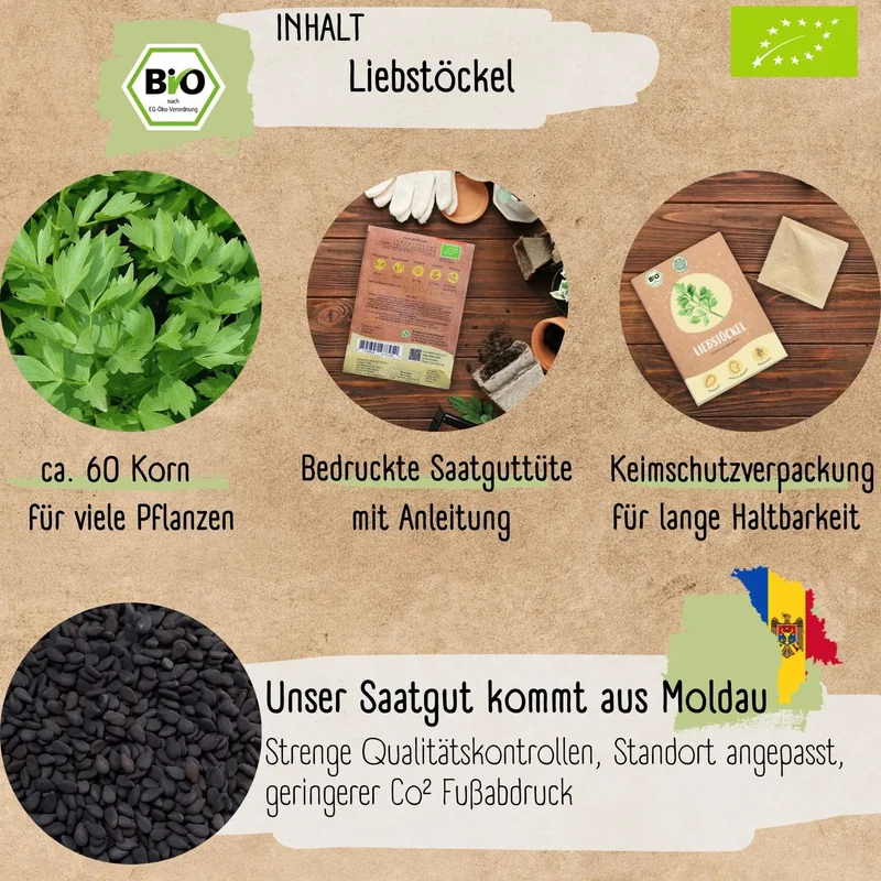 Bio Liebstöckel Samen