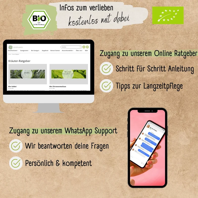 Bio Rosmarin Samen