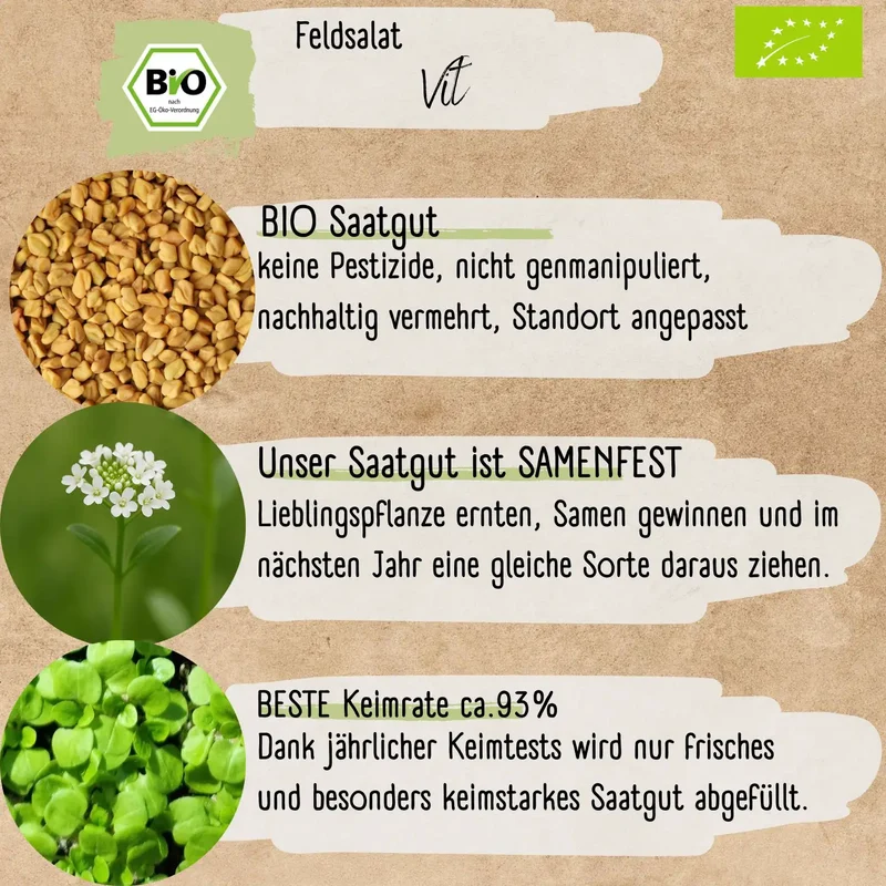 Bio Feldsalat Samen