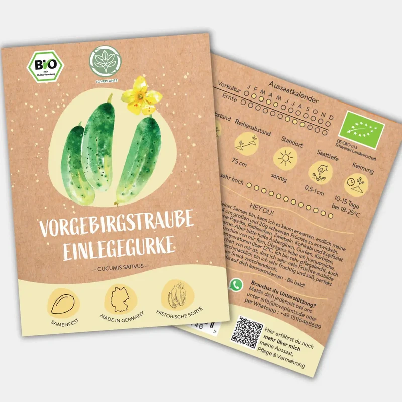 Bio Gurke Vorgebirgstraube Samen