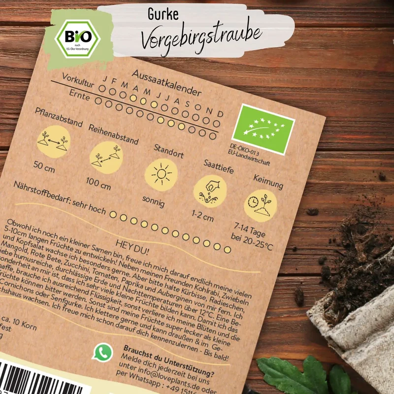 Bio Gurke Vorgebirgstraube Samen