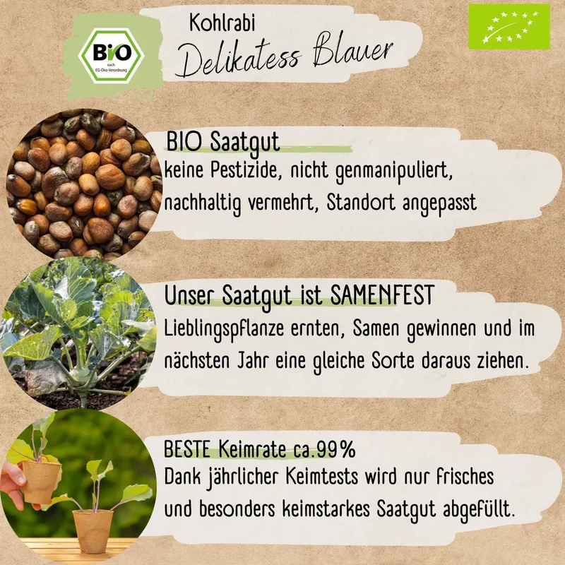 Bio Kohlrabi Samen