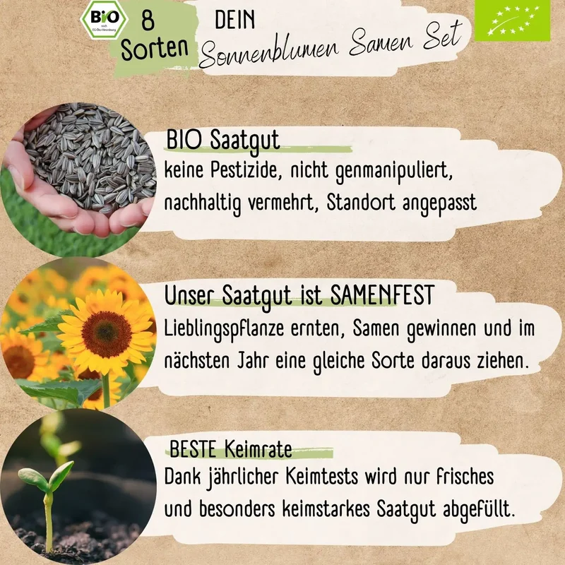 Dein 8 Bio Sonnenblumensamen Set