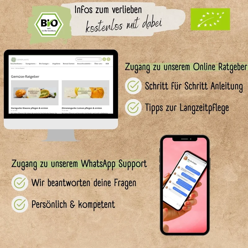 Bio Salatgurke Gele Tros Samen