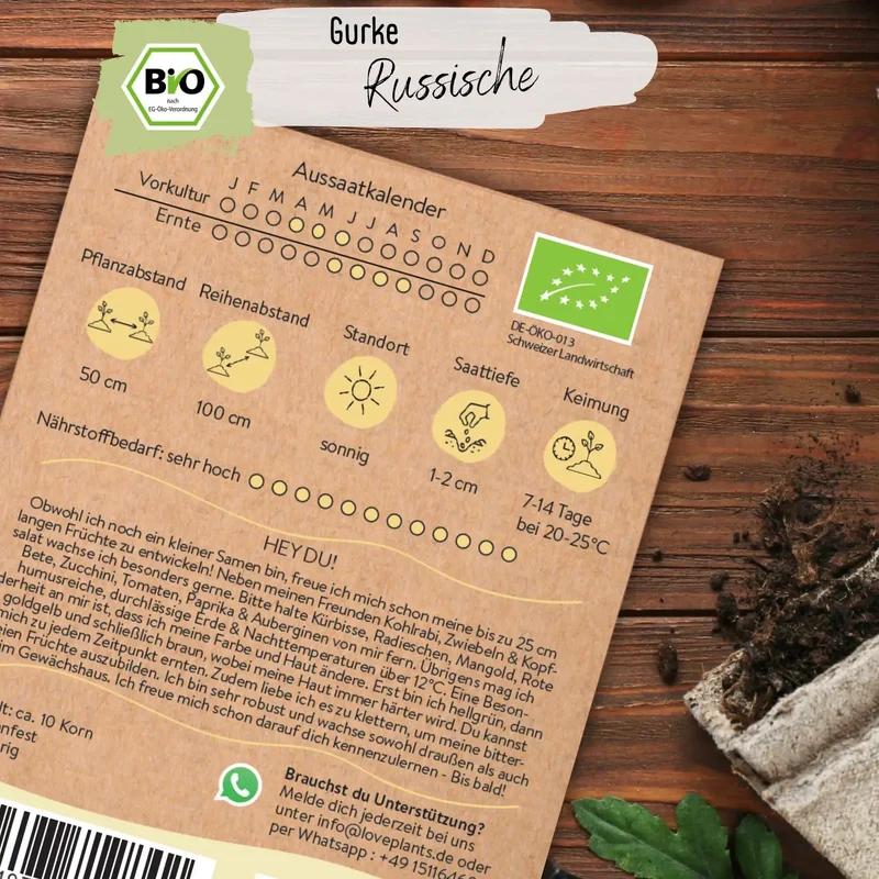 Bio Russische Gurke Samen