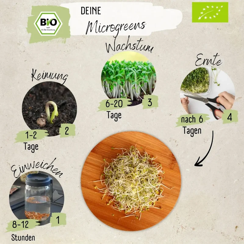 Dein 5 Bio Sprossen Anzuchtset