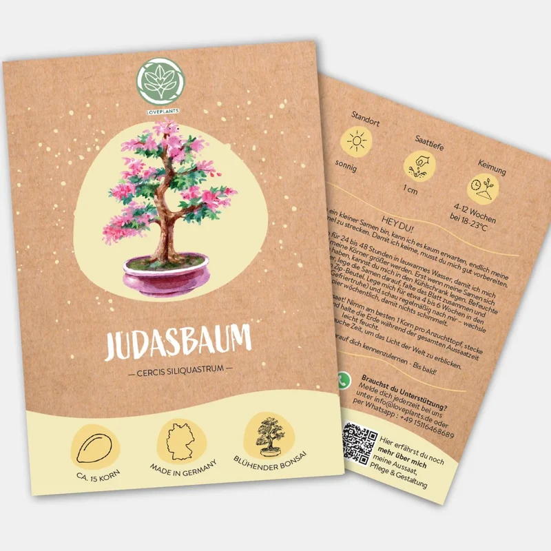 Judasbaum Samen