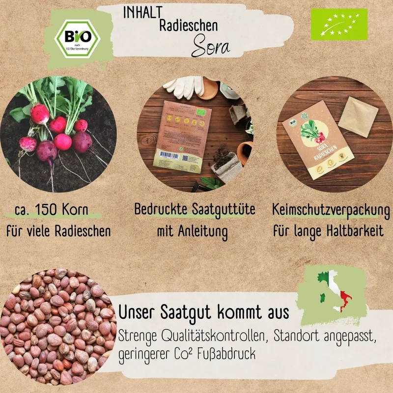 Bio Radieschen Samen