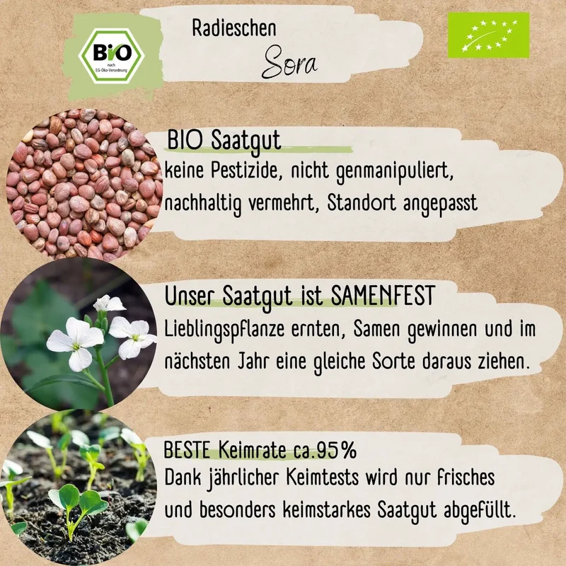 Bio Radieschen Samen