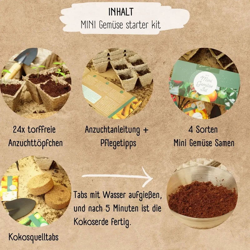Bio Anzuchtset Gemüse