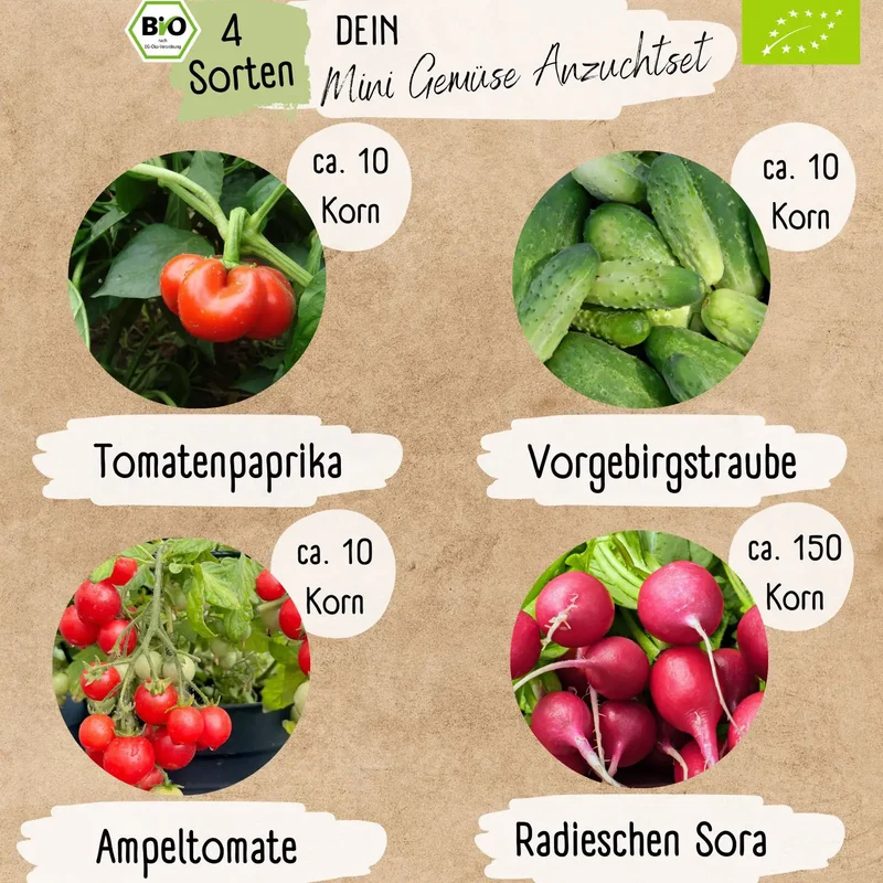 Bio Anzuchtset Gemüse