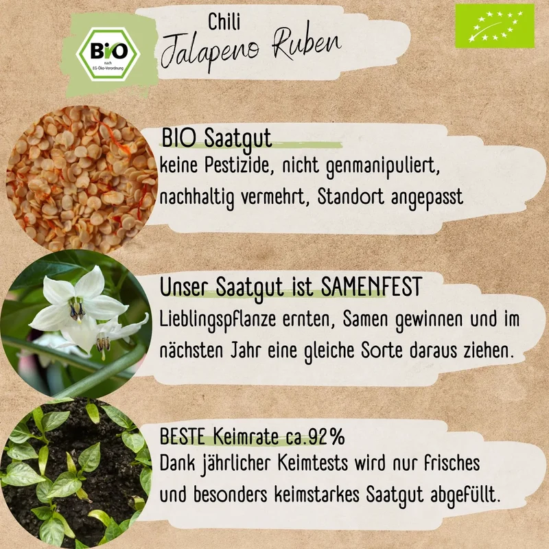Bio Jalapeño Samen