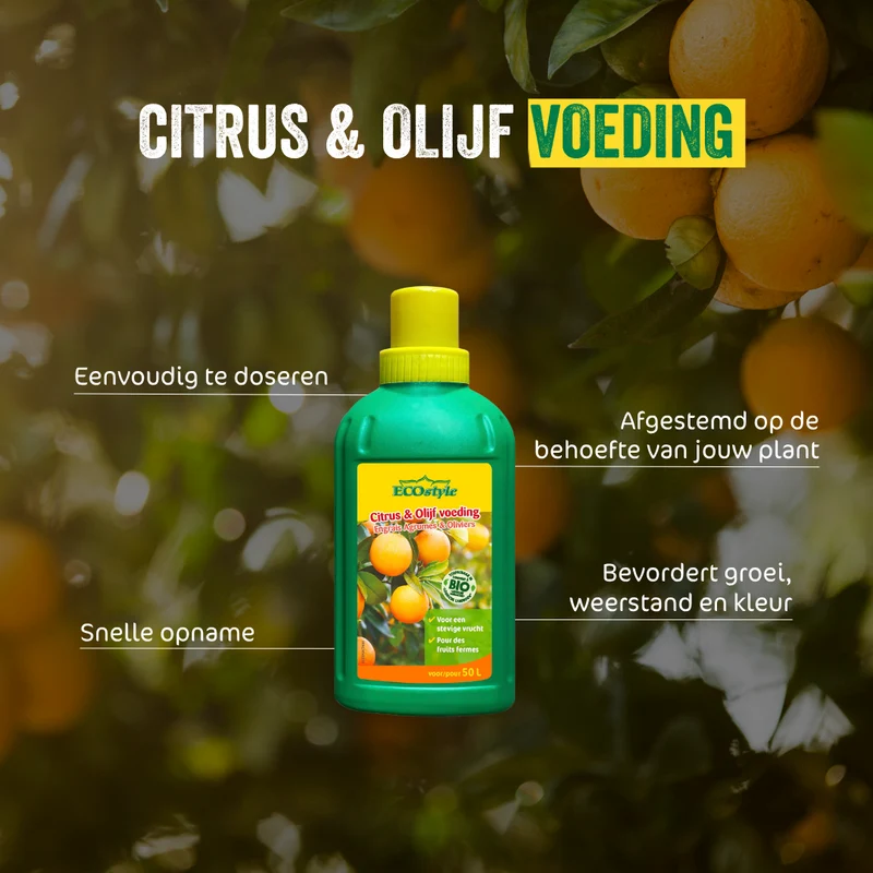 Citrus & Olijf Voeding