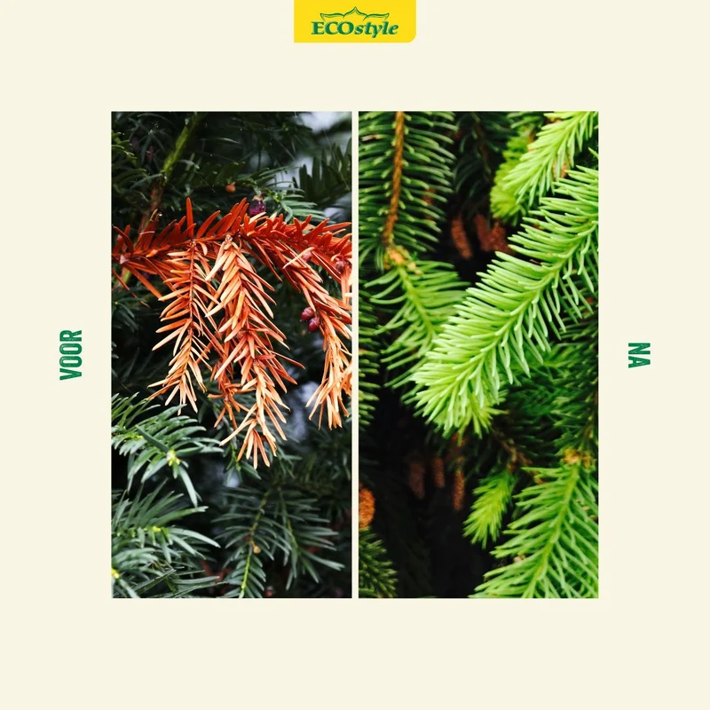 Groene planten-AZ+