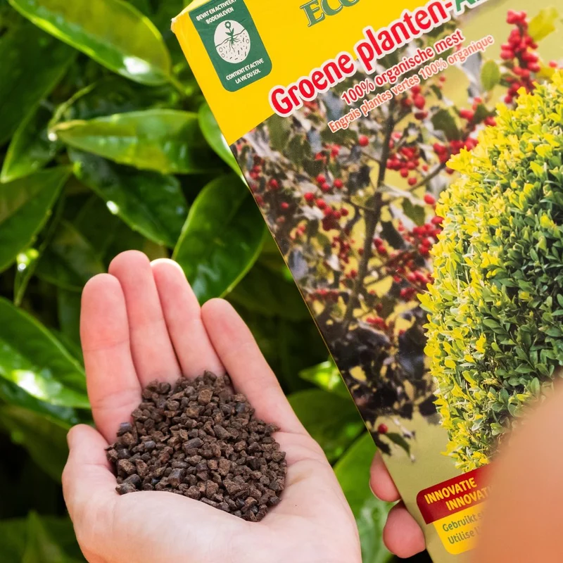 Groene planten-AZ+