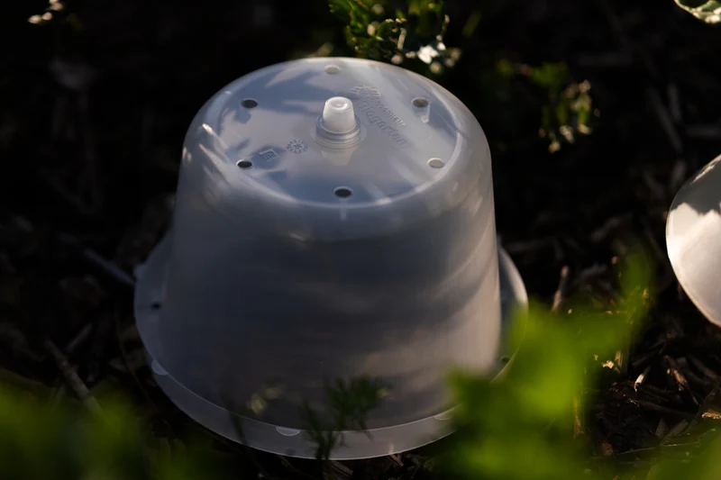 Treibhaushaube für Schneckenkragen – 6er Set