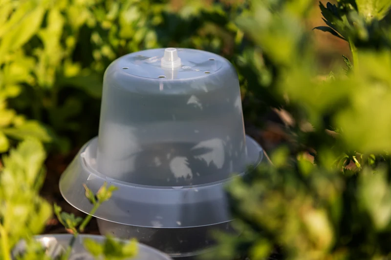 Treibhaushaube für Schneckenkragen – 6er Set