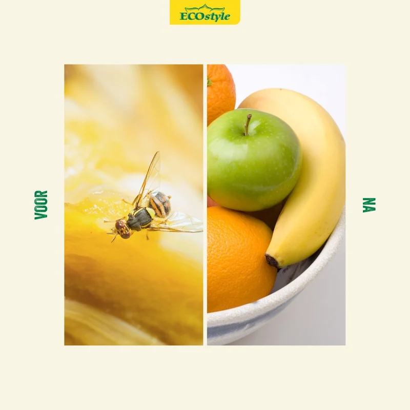 Fruitvliegval