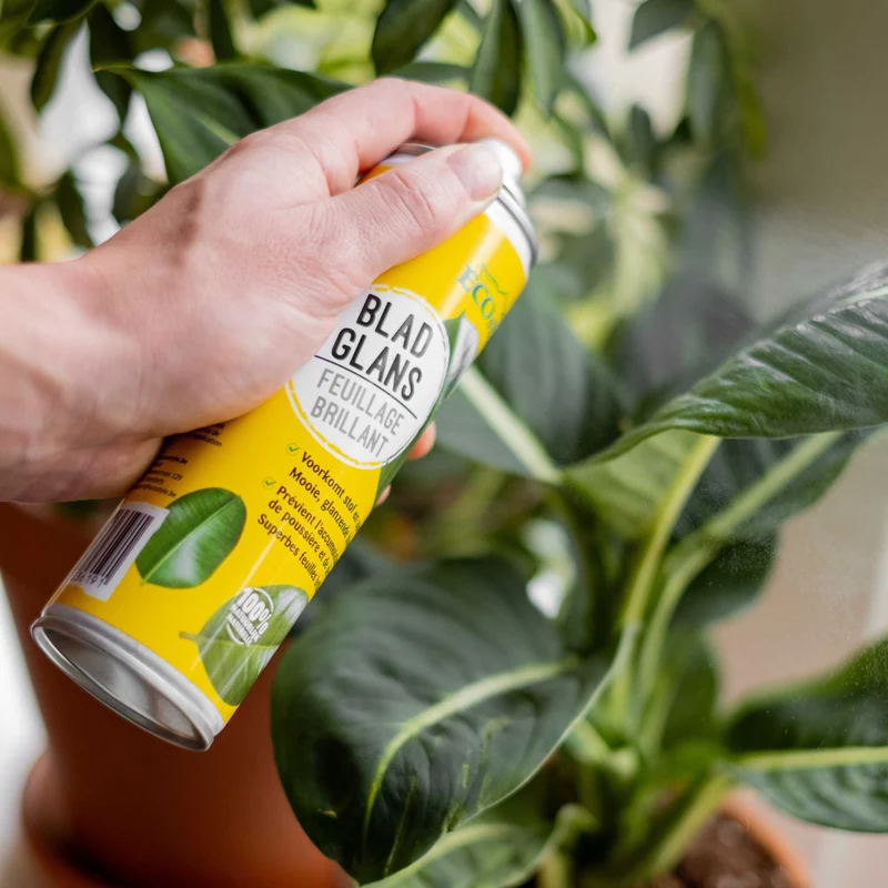 BladGlans Spray