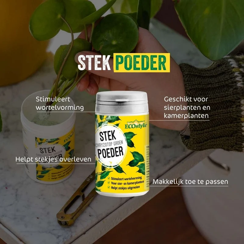 StekPoeder