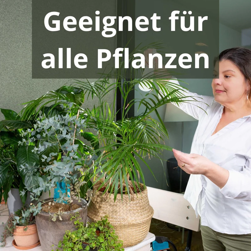 Zimmerpflanzen Blattdünger Flüssigdünger von Flora Boost für gesunde Pflanzenpflege