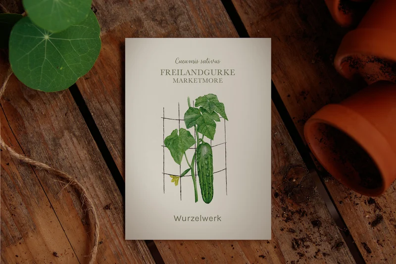 Freilandgurke ‘Marketmore‘