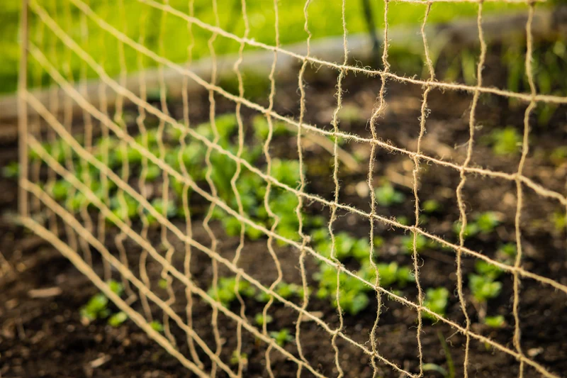 Pflanzen-Kletternetz aus Jute