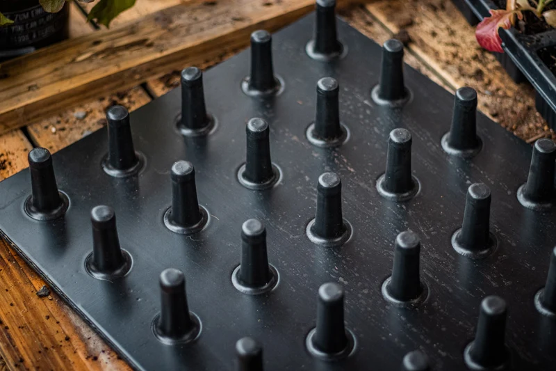 Aushebeplatte für QuickPot Anzuchtplatten