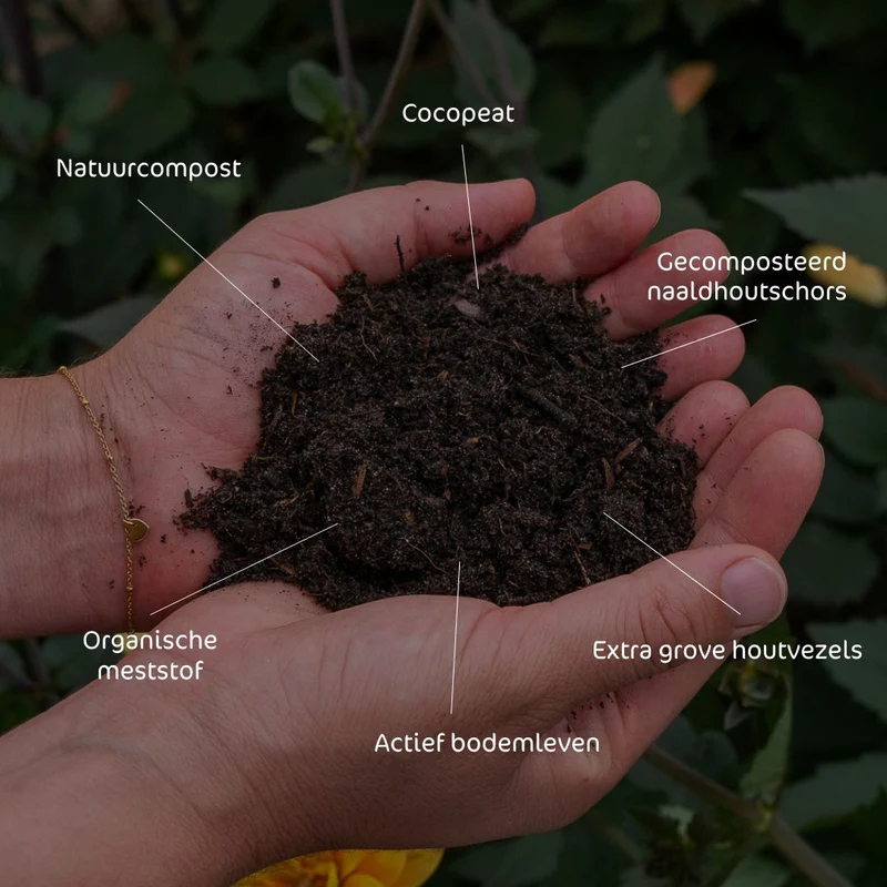 MoestuinGrond