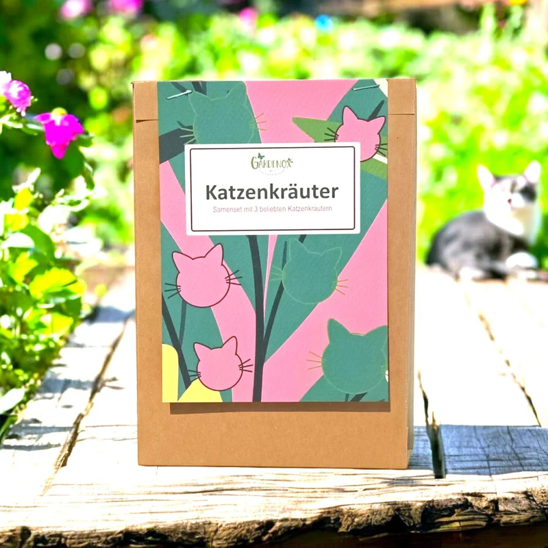 Katzenkräuter - Drei Kräutersorten, die Katzen lieben