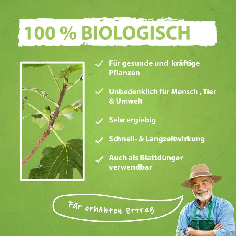 Feigenbaum Dünger von Flora Boost für gesunde Obstbäume