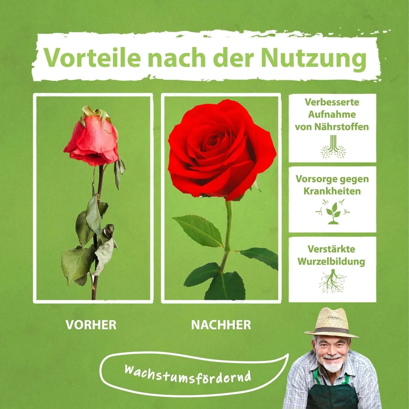 Rosen Dünger von Flora Boost für prächtige Blüten und gesunde Pflanzen