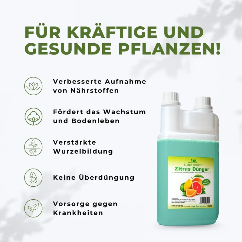 Zitrusdünger von Flora Boost für Zitruspflanzen