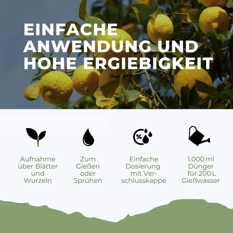 Zitrusdünger von Flora Boost für Zitruspflanzen