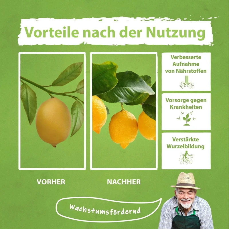 Zitrusdünger von Flora Boost für Zitruspflanzen