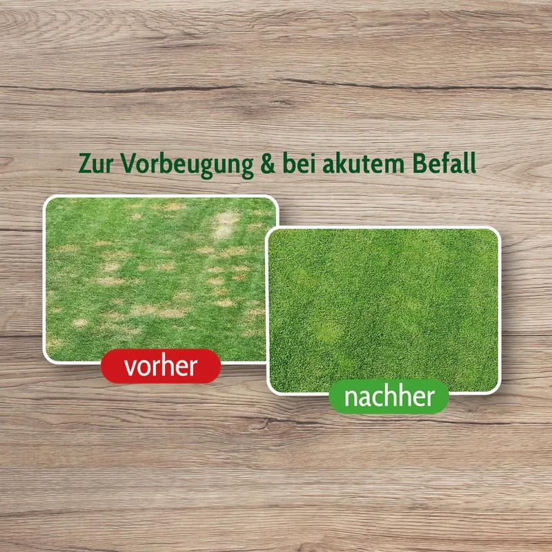 Animatio® Wurzelschutz 1L - Biologische Pflanzenhilfe gegen Wurzelfraß