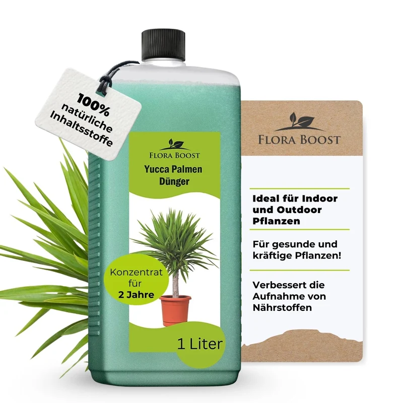 Yucca Palmen Dünger von Flora Boost für gesundes Wachstum und pralle Blätter
