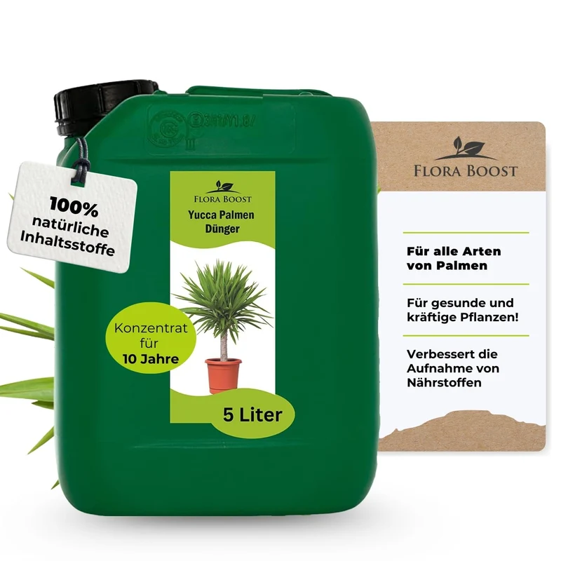 Yucca Palmen Dünger von Flora Boost für gesundes Wachstum und pralle Blätter