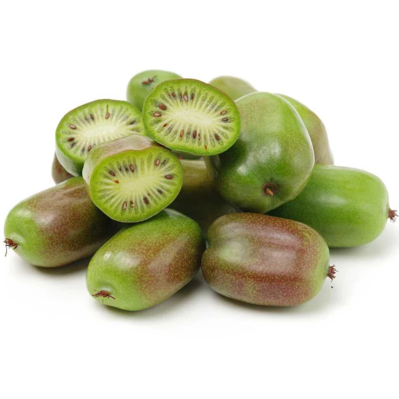 Mini-Kiwi Actinidia Issai kaufen - Kiwi Kiwibeere Pflanzen für Ihren Garten