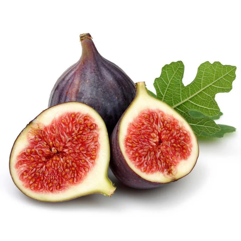 Feigenbaum Brown Turkey - Ein Muss für jeden Gartenliebhaber