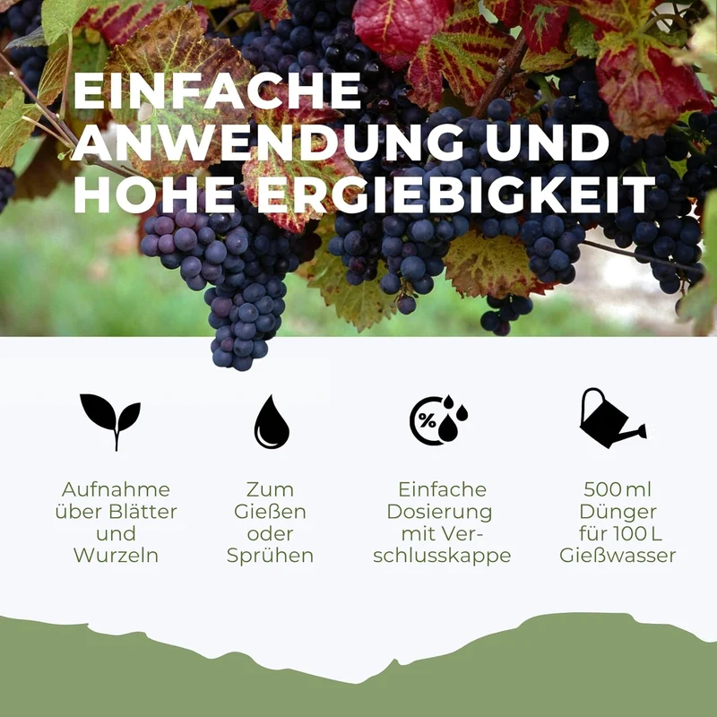 Weinreben Dünger von Flora Boost – Für gesundes Wachstum und kräftige Trauben
