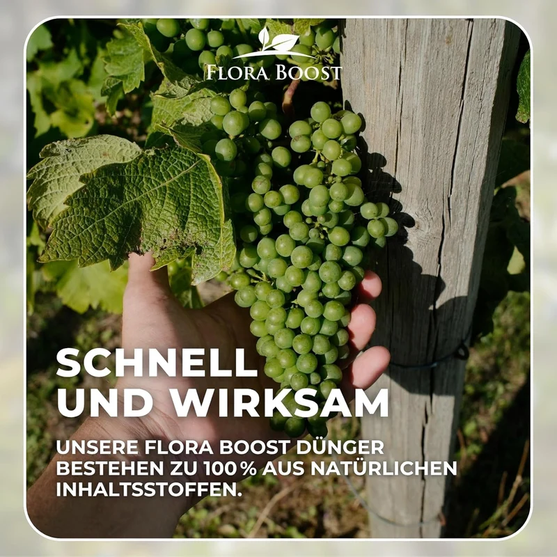 Weinreben Dünger von Flora Boost – Für gesundes Wachstum und kräftige Trauben