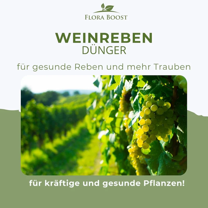 Weinreben Dünger von Flora Boost – Für gesundes Wachstum und kräftige Trauben