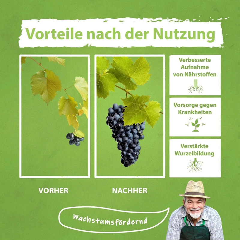 Weinreben Dünger von Flora Boost – Für gesundes Wachstum und kräftige Trauben
