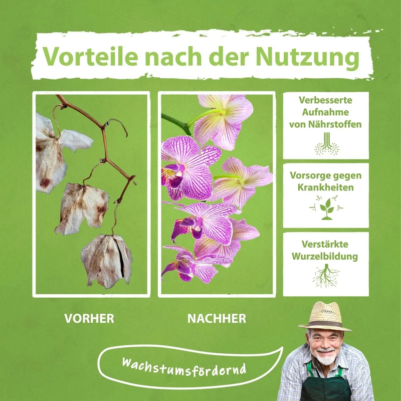 Orchideen Dünger von Flora Boost für gesunde und blühende Pflanzen