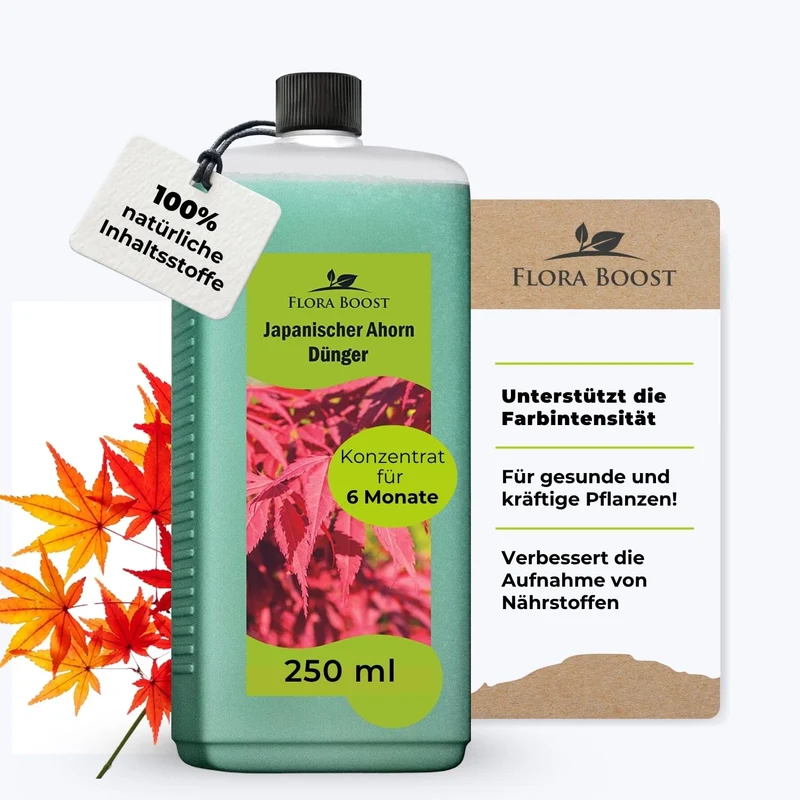 Japanischer Ahorn Dünger von Flora Boost für gesunde Fächerahorn-Pflanzen