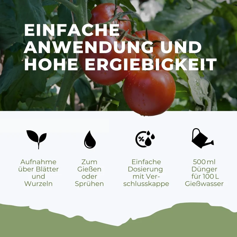 Tomaten Dünger für Ertrag - Steigern Sie Ihren Ertrag und schützen Sie Ihre Pflanzen vor Krankheiten