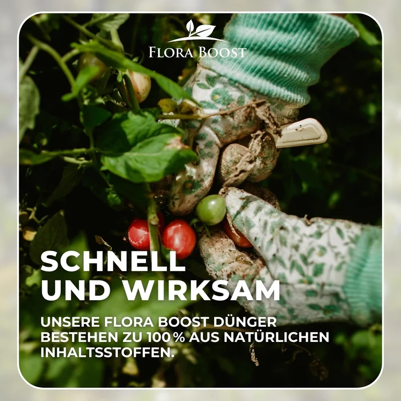 Tomaten Dünger für Ertrag - Steigern Sie Ihren Ertrag und schützen Sie Ihre Pflanzen vor Krankheiten