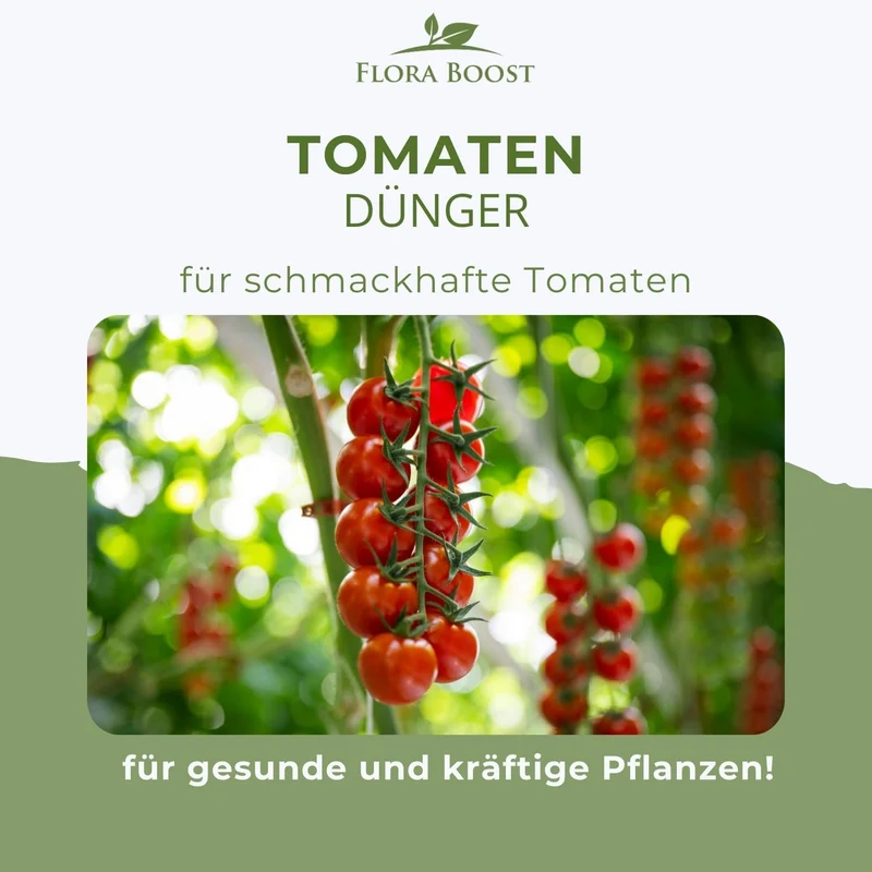 Tomaten Dünger für Ertrag - Steigern Sie Ihren Ertrag und schützen Sie Ihre Pflanzen vor Krankheiten
