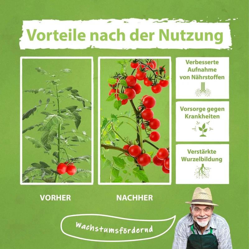 Tomaten Dünger für Ertrag - Steigern Sie Ihren Ertrag und schützen Sie Ihre Pflanzen vor Krankheiten